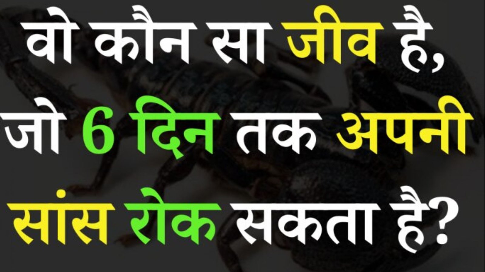 दुनिया का एक ऐसा जीव जो 6 दिन तक सांस रुक सकता है? क्या आप जानते है, नहीं,तो पढ़िए यहाँ पर