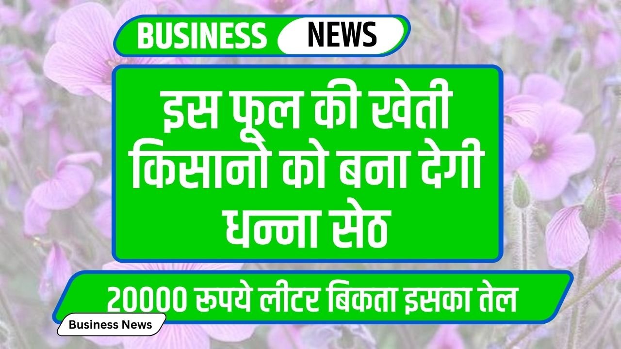 Business Idea: इस फूल की खेती किसानो को बना देगी धन्ना सेठ, 20000 रूपये लीटर बिकता इसका तेल