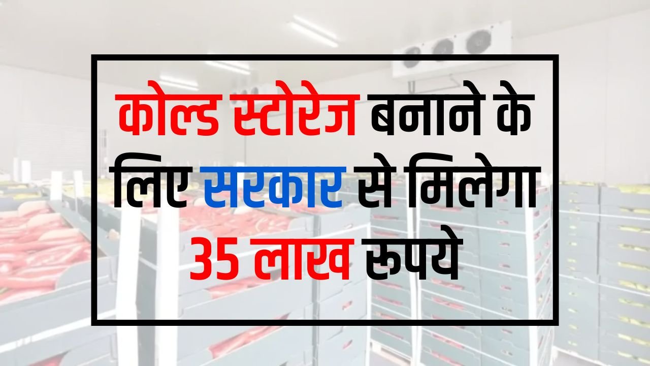 Cold Storage Subsidy Yojana: कोल्ड स्टोरेज बनाने के लिए सरकार से मिलेगा 35 लाख रूपये, मिलेगी 50% सब्सिडी देखे आवेदन प्रोसेस