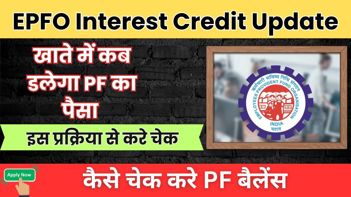 खाते में कब डलेगा PF का पैसा, इस प्रक्रिया से करे चेक EPFO Interest Credit Update 