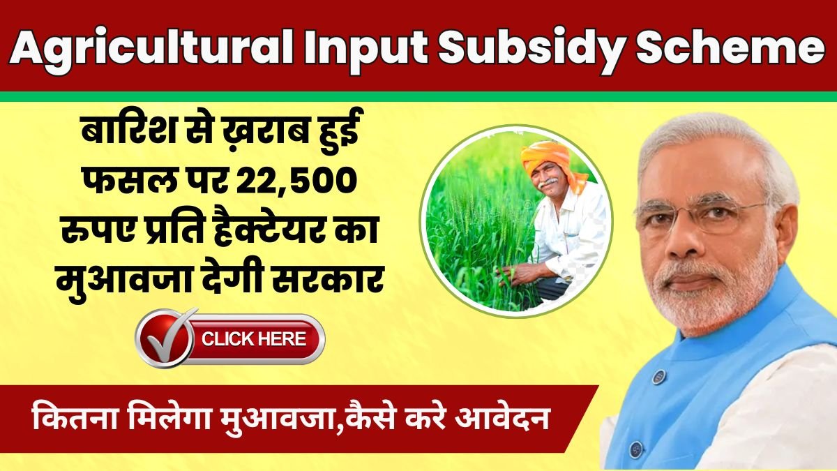 बारिश से ख़राब हुई फसल पर 22,500 रुपए प्रति हैक्टेयर का मुआवजा देगी सरकार Agricultural Input Subsidy Scheme