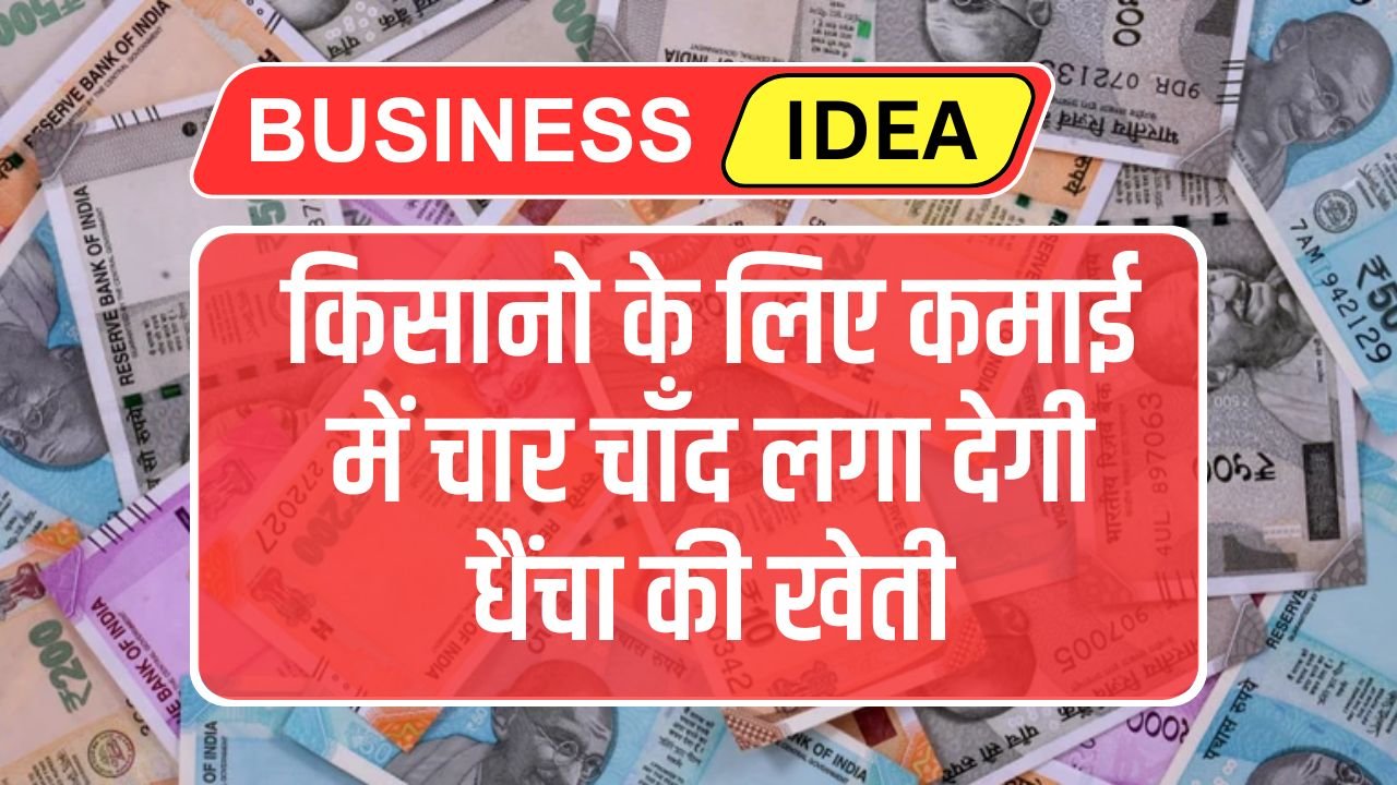 Business Idea: किसानो के लिए कमाई में चार चाँद लगा देगी धैंचा की खेती, एक फसल पर होगा 10 लाख का फायदा