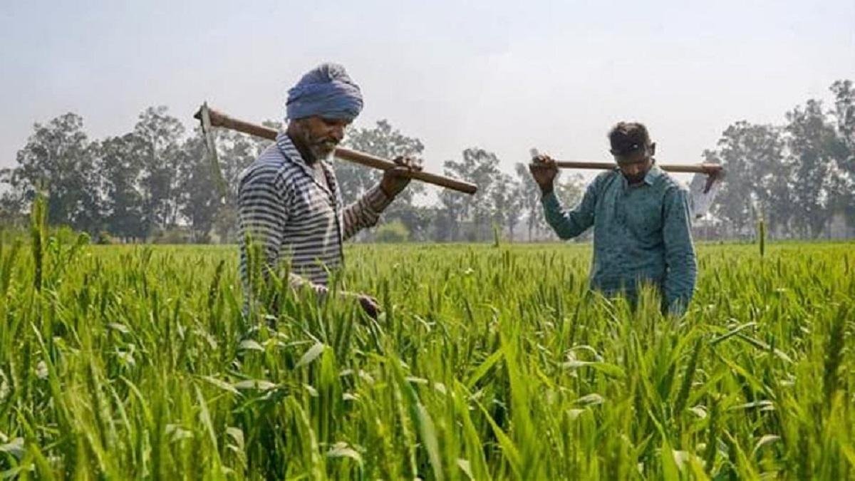 स्थानीय विकास योजना के तहत मिलगा रोजगार, अब कोई किसान नहीं रहेगा भूखा, उठाए इस योजना का लाभ